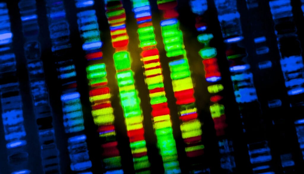 DNA sequence; real world evidence analytics concept